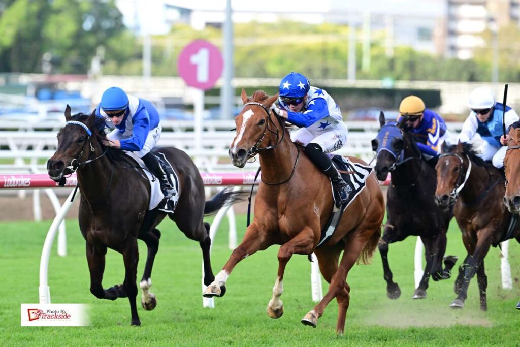 Miss Funny Honey gets the money on debut