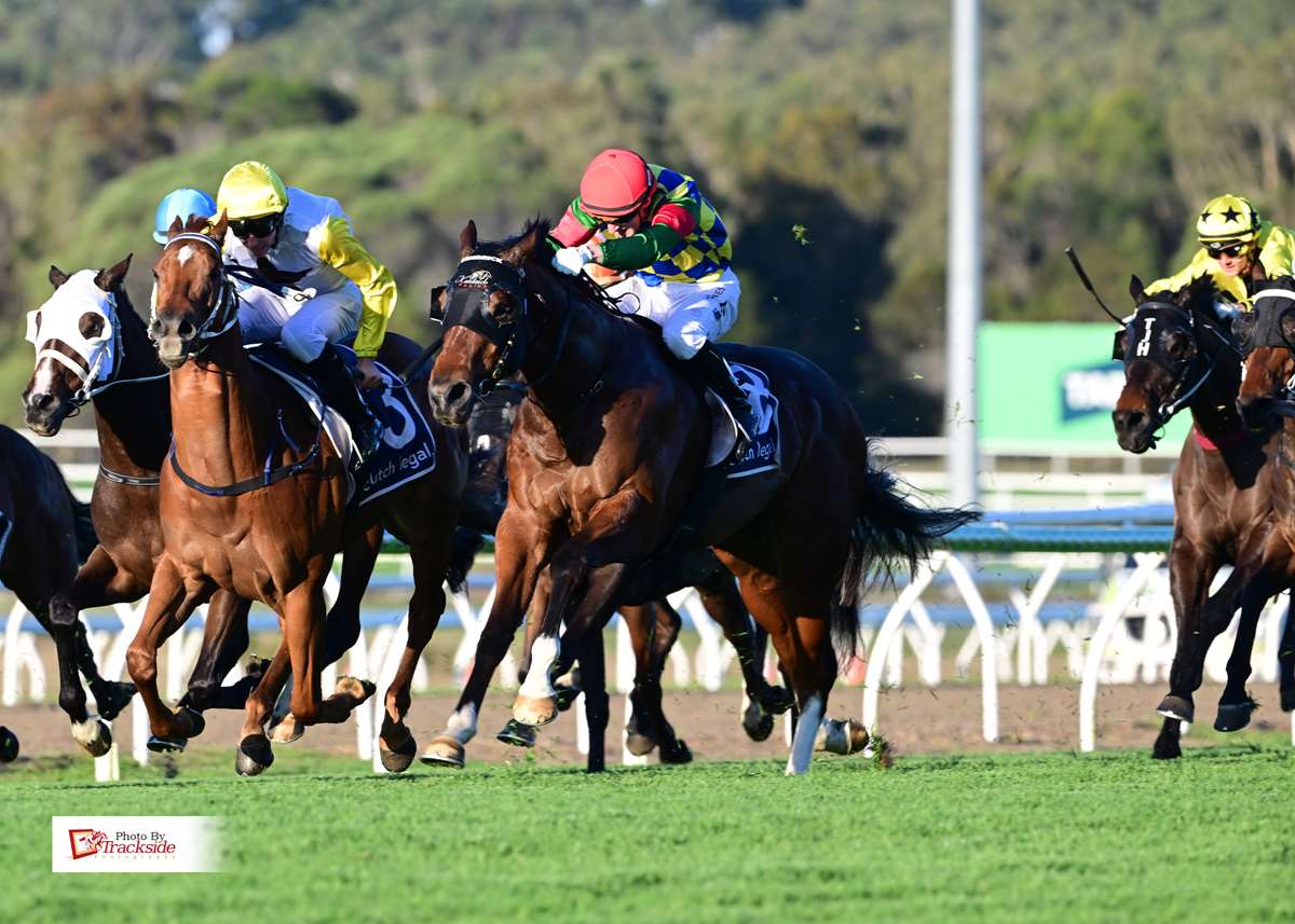 Warna makes sparkling return after short let-up