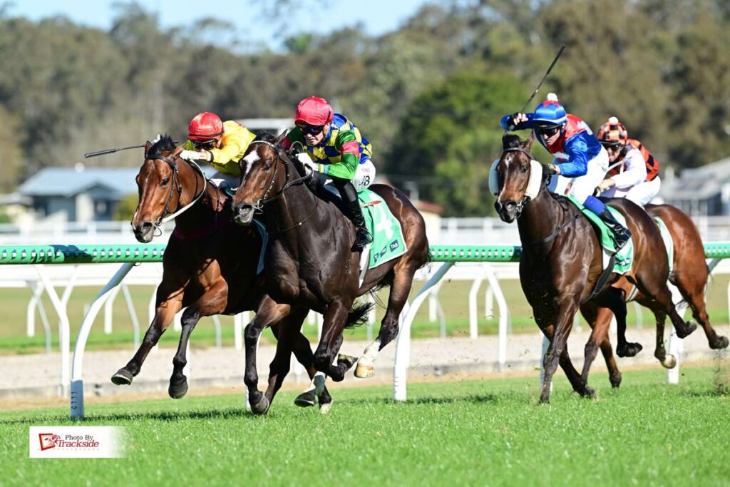 Consistent Heartoni builds on impressive race record