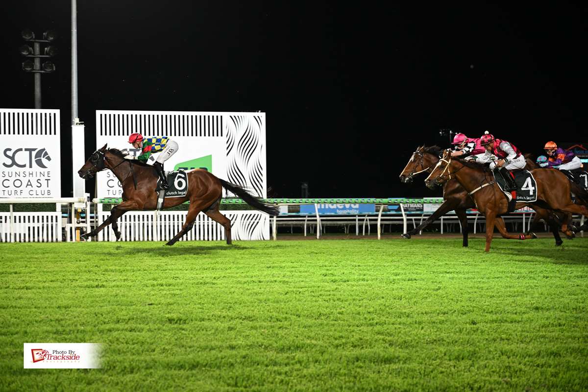 Settat shines at Sunshine Coast with strong staying win