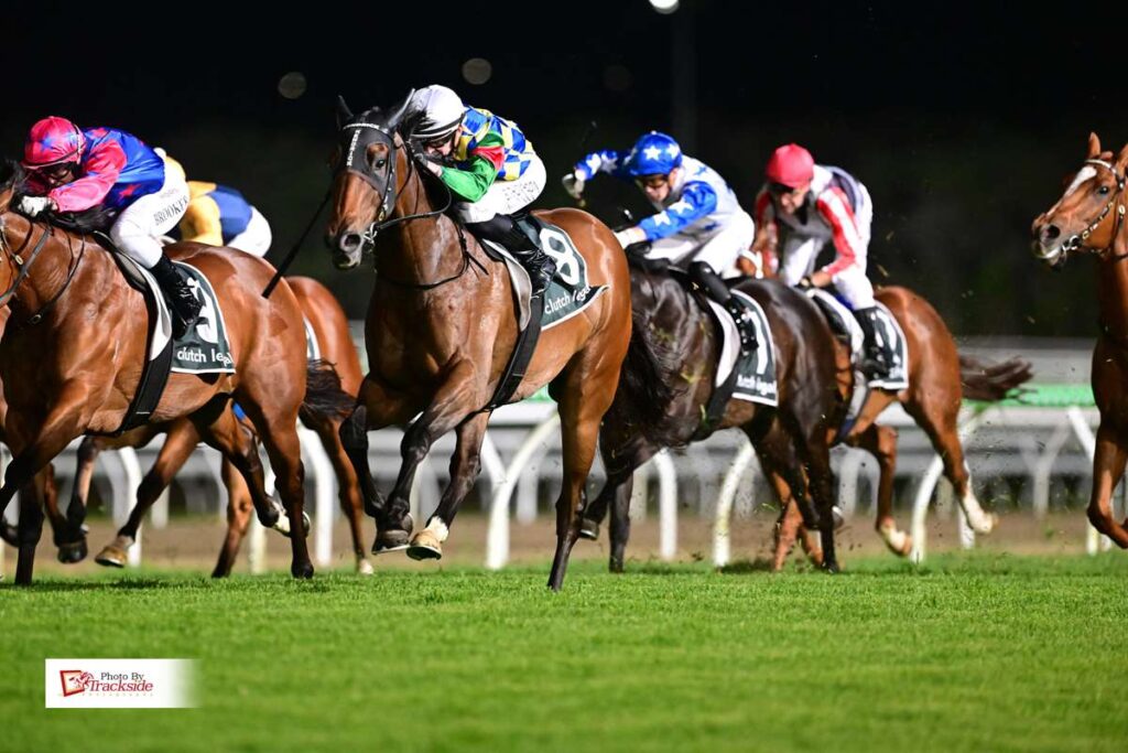 Bonded Affair sizzles fresh to win at Sunshine Coast