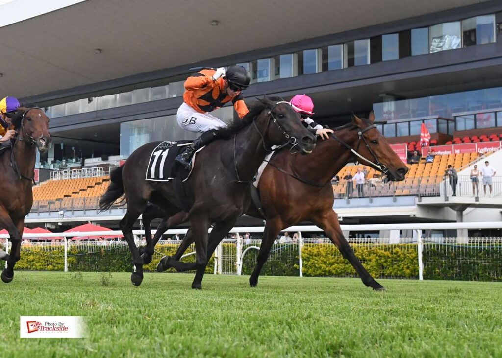 Kaffir Lily breaks through with city win at Doomben