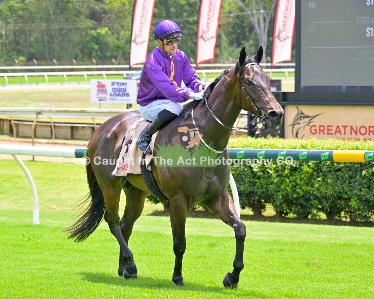 Torque I Tee bounces back with storming finish at Rocky