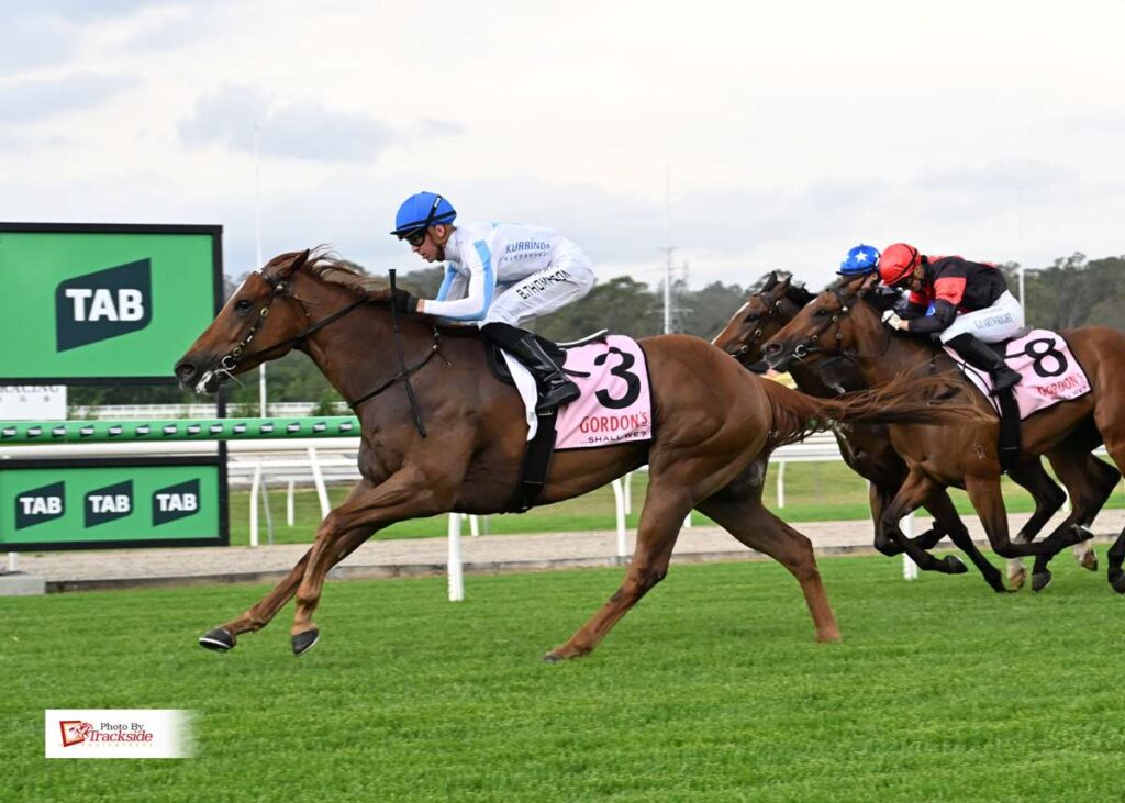 Galactic Star shines bright with Ipswich win on debut