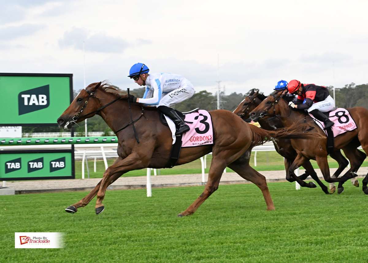 Galactic Star shines bright with Ipswich win on debut