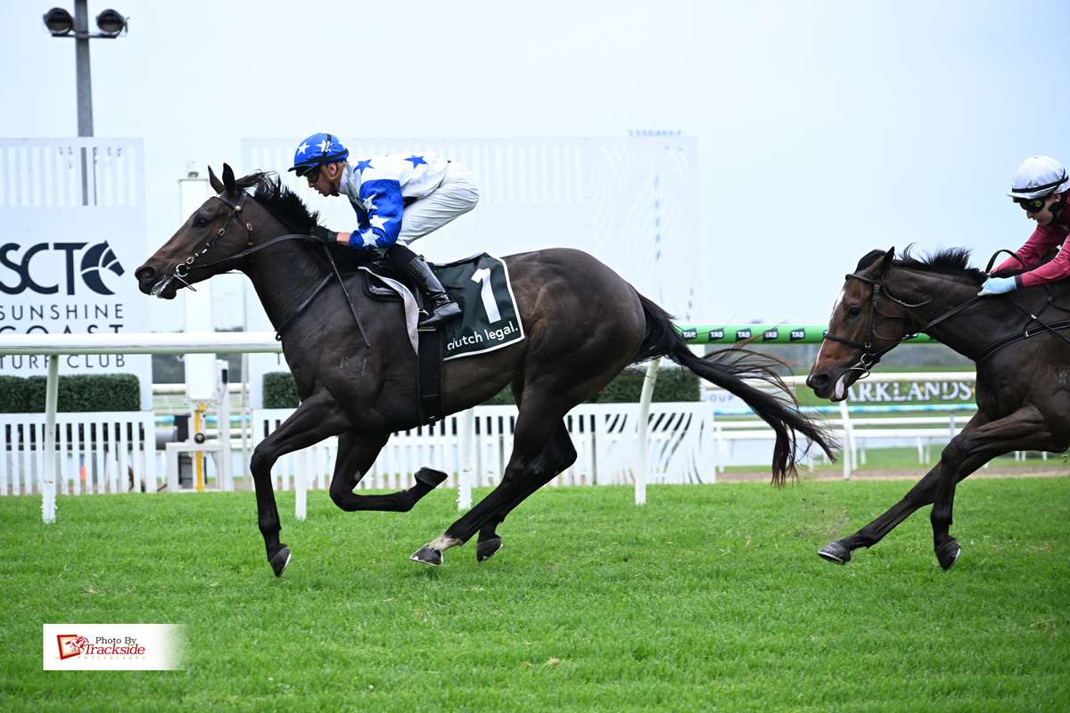 Moroccan Wind breezes to win on debut at Sunshine Coast