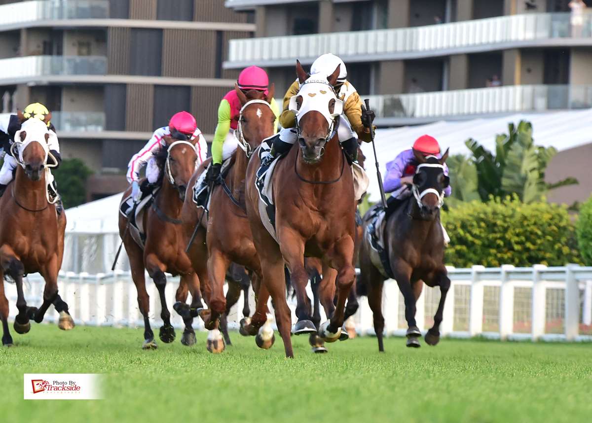 Seneschal leads all the way to deliver at Eagle Farm