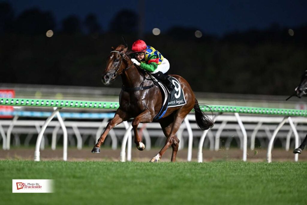 Goldarnie dominates at Sunshine Coast maiden victory