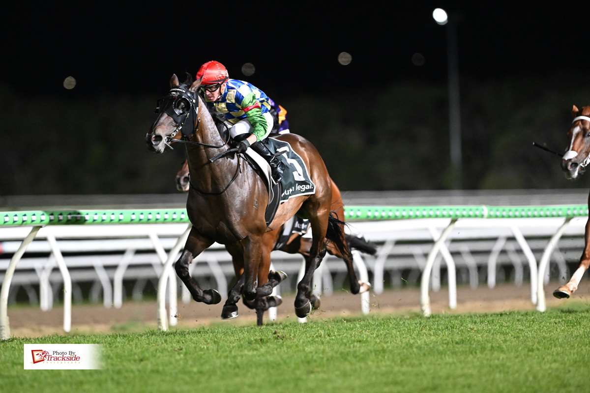 Savannah Gangster dominates from in front at Sunshine Coast