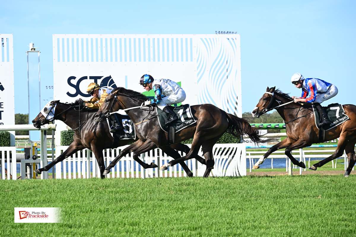 Nightstick makes it two in a row with Sunshine Coast win