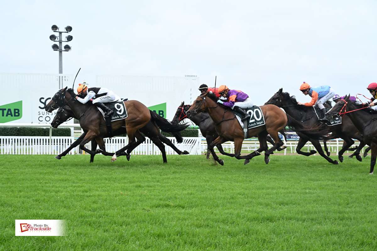 Italian Dancer delivers at Coast as patience reaps rewards