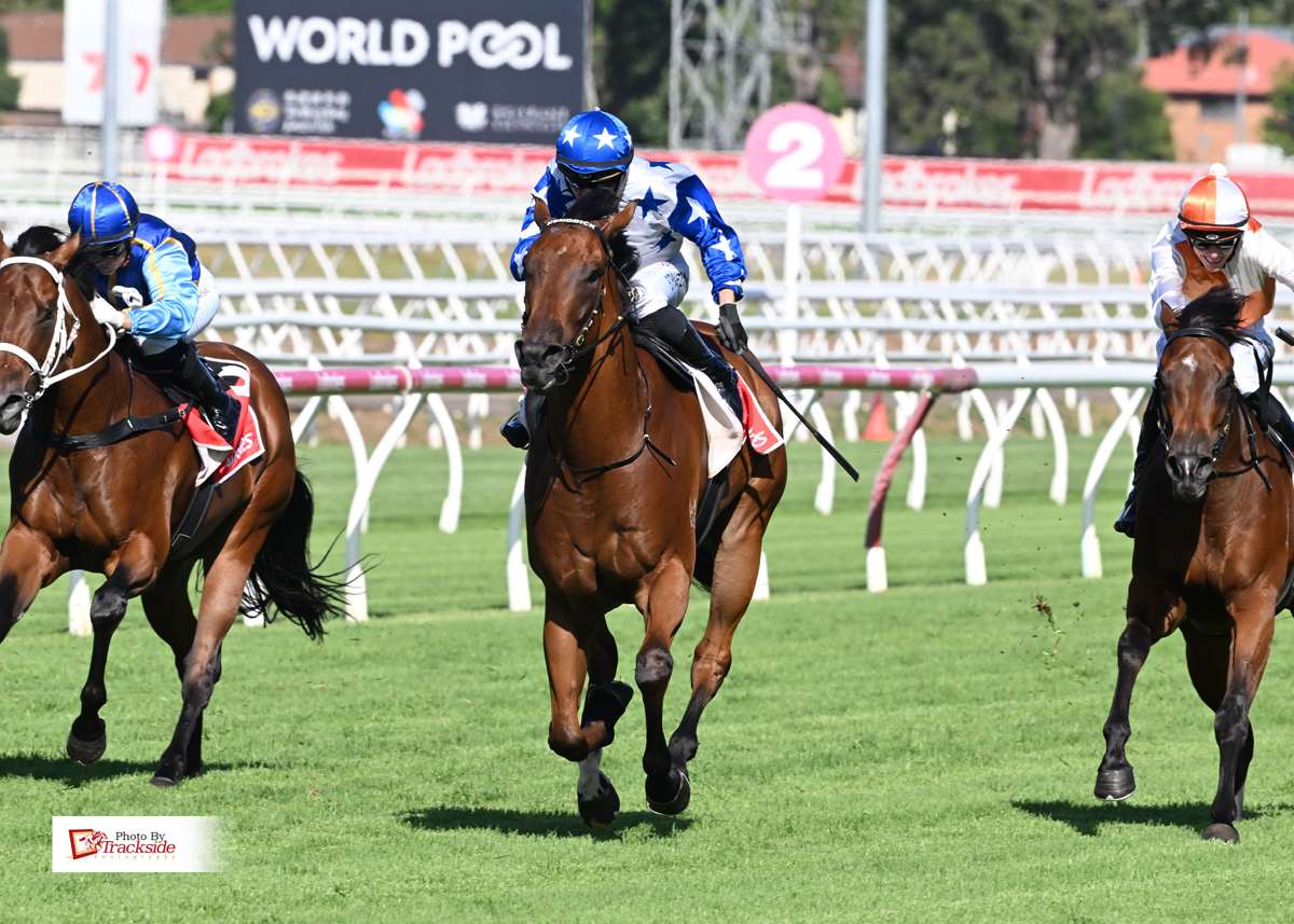 Air We Go flies late for midweek Eagle Farm victory