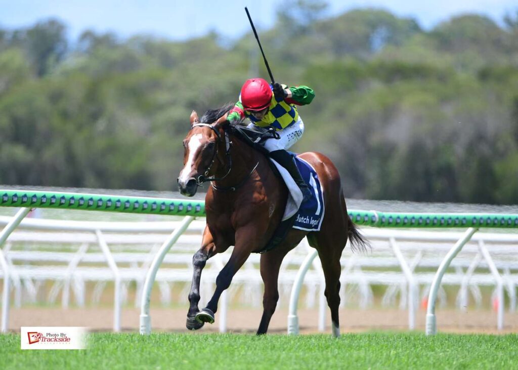 Doubtwilly wins on debut just like his grandma Doubtfilly