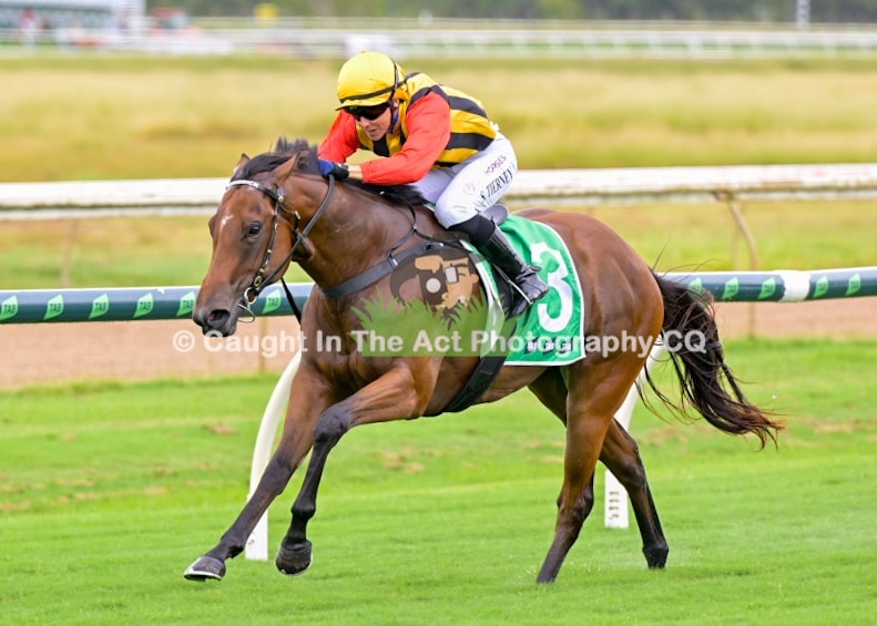 Kendrick lands treble as Another Champers books QTIS Jewel Spot