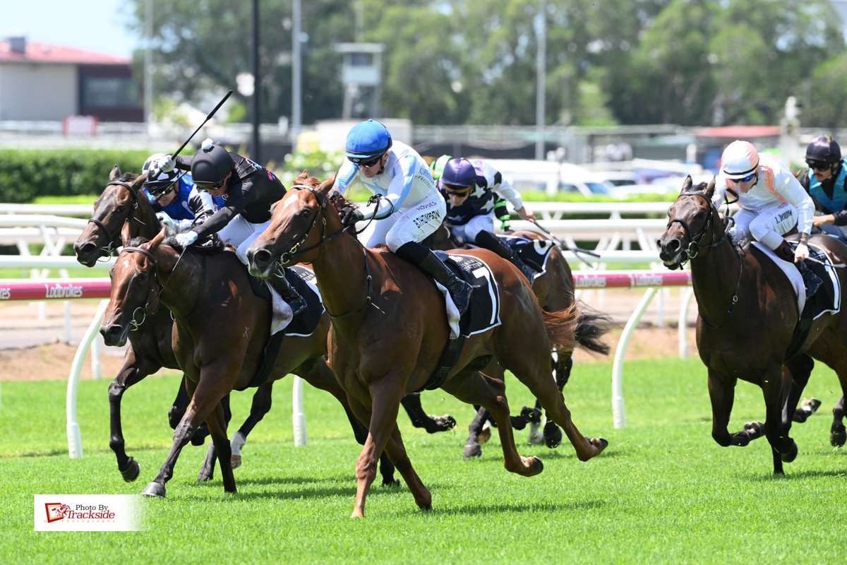 Galactic Star shines and sets sights on Jewel 3YO