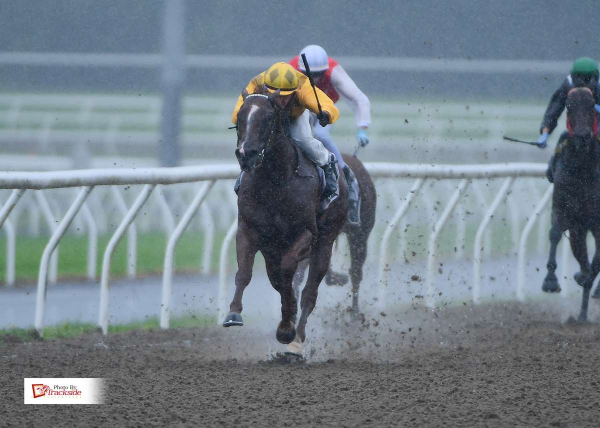 Spies On romps home before meeting abandoned