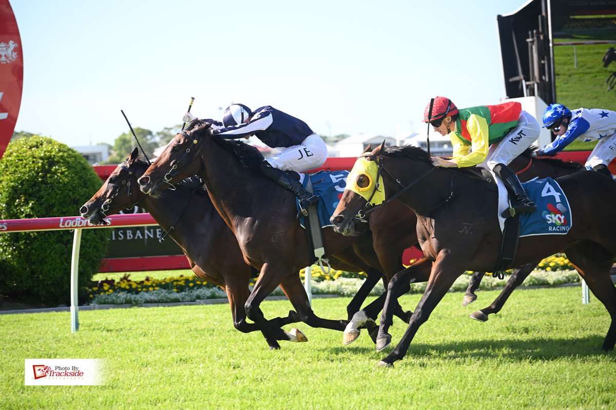 Gritty Retainer adds city Doomben win to resume