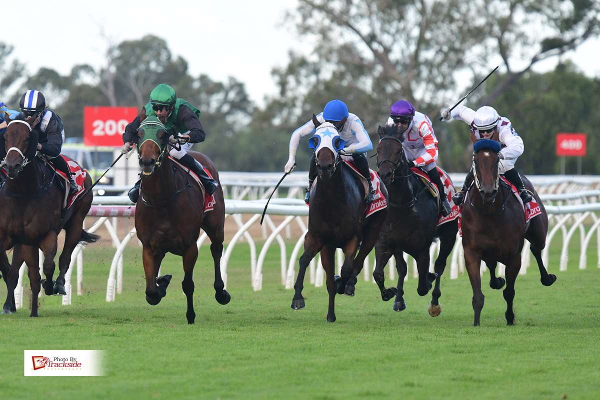 Crown Guinea nabs Gatton finale in thrilling finish