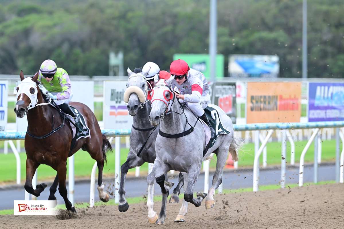 Kendrick Racing secures winning treble on Sunshine Coast Poly
