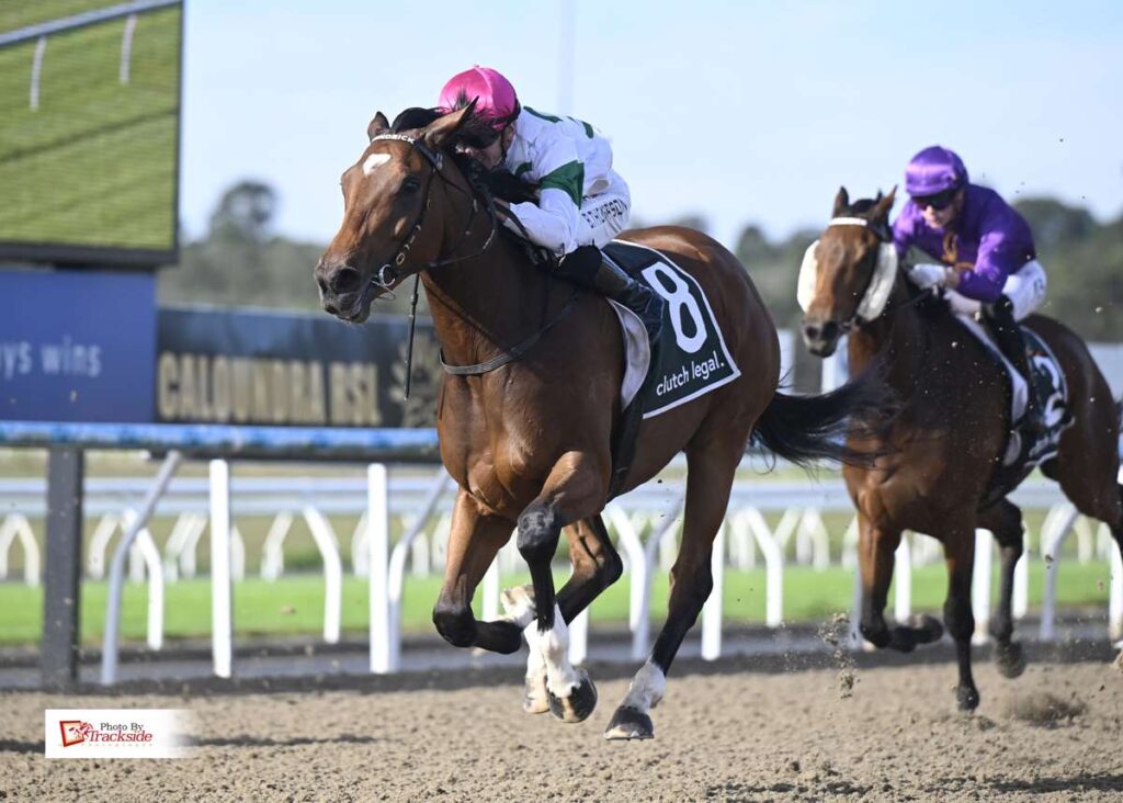 Momoka’s breakthrough a highlight of stable treble