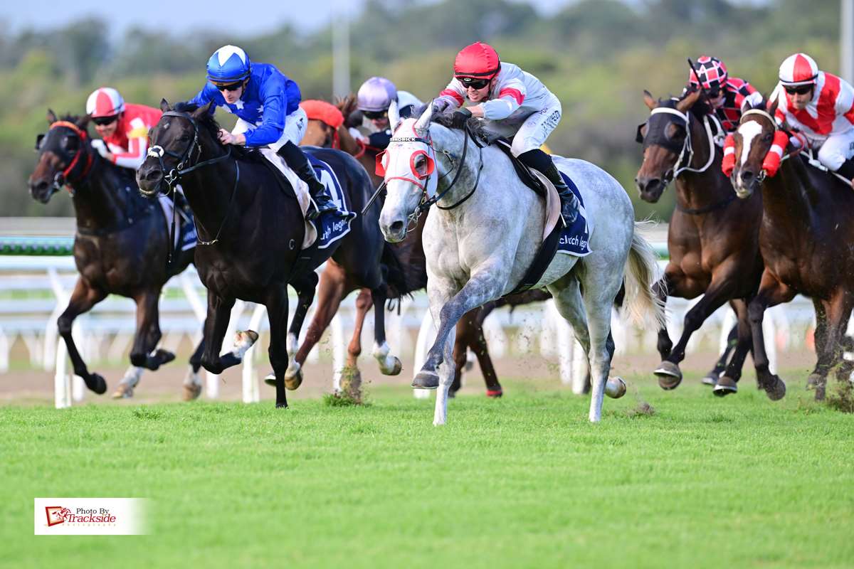 Divakara defies top weight for back-to-back wins at Sunshine Coast