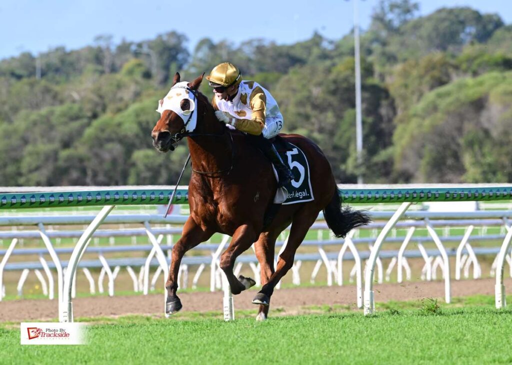Seneschal surges back to form with dominant Caloundra victory