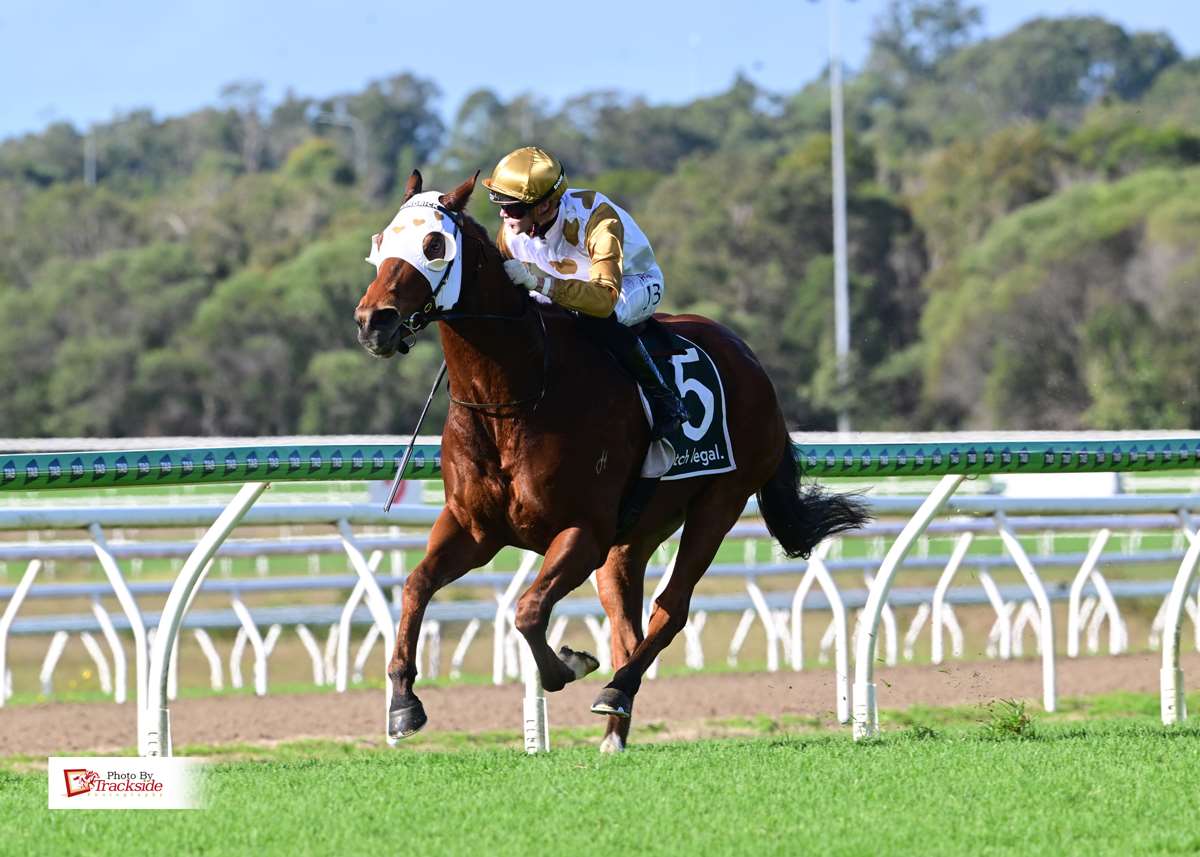 Seneschal surges back to form with dominant Caloundra victory