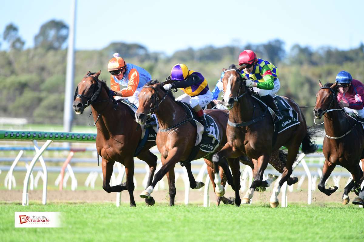 Italian Riviera extends revival with gritty Sunshine Coast win