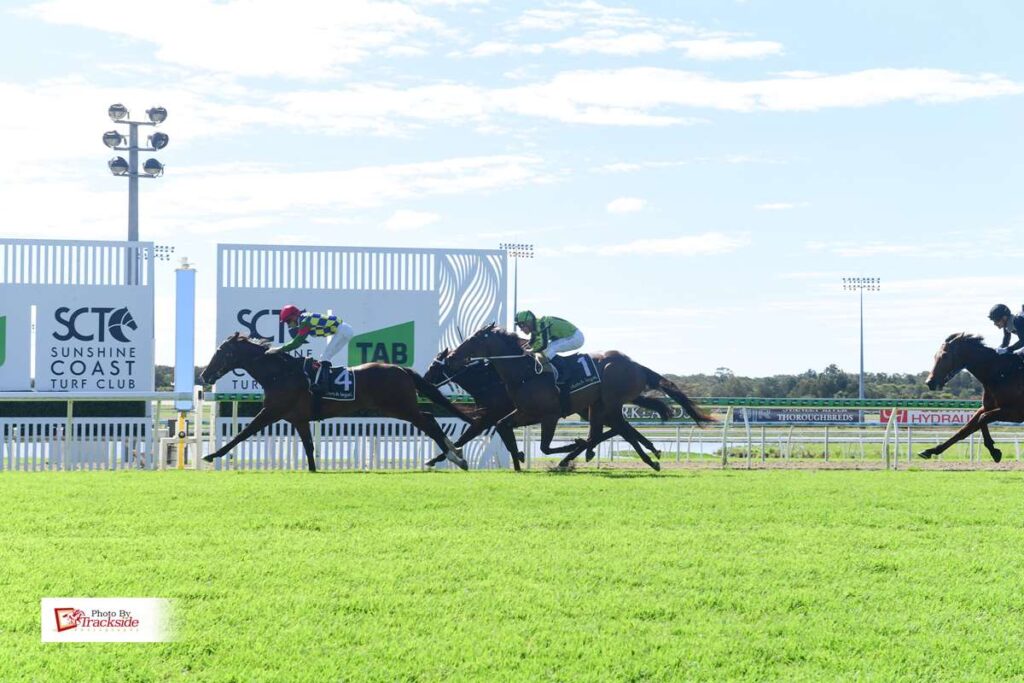 Old Faithful rewards patience with maiden breakthrough