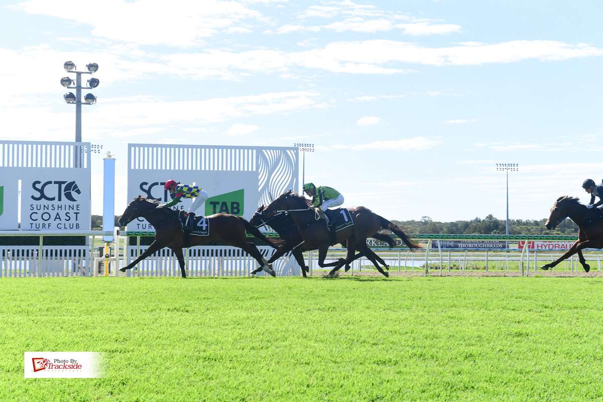 Old Faithful rewards patience with maiden breakthrough