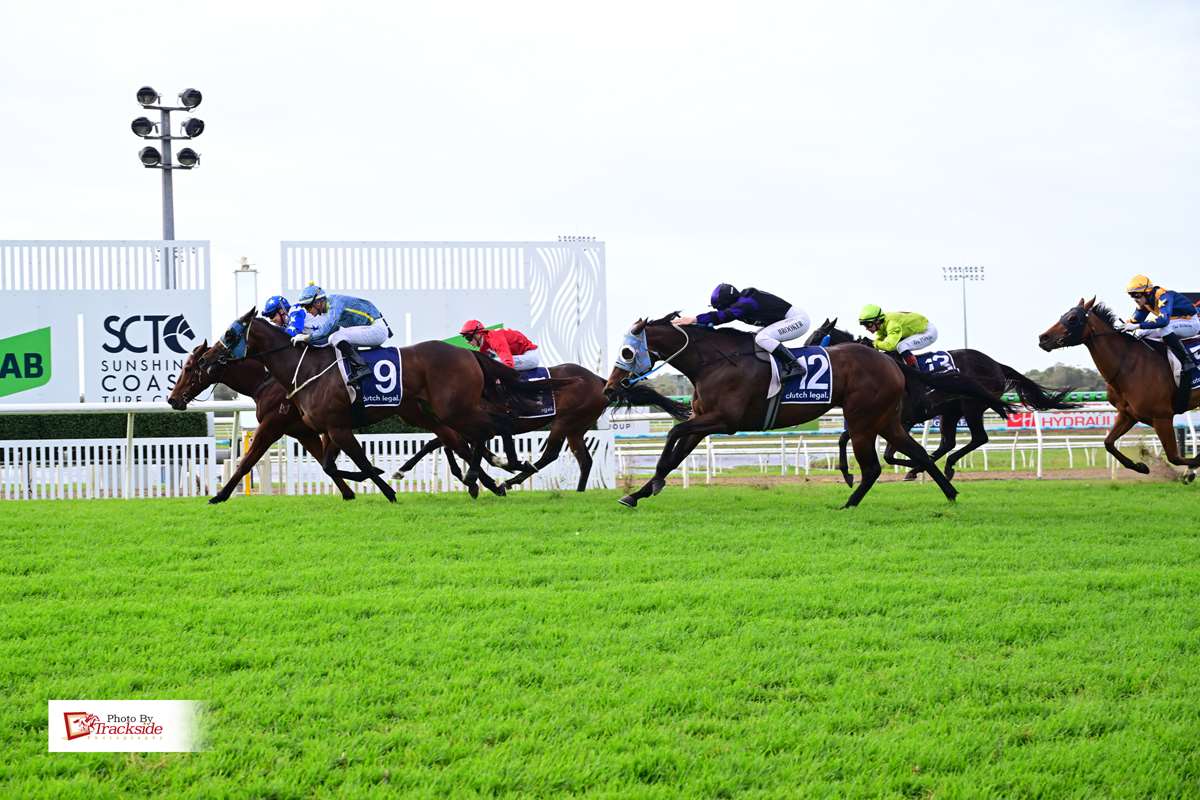 Air We Go returns to winning form at the Sunshine Coast