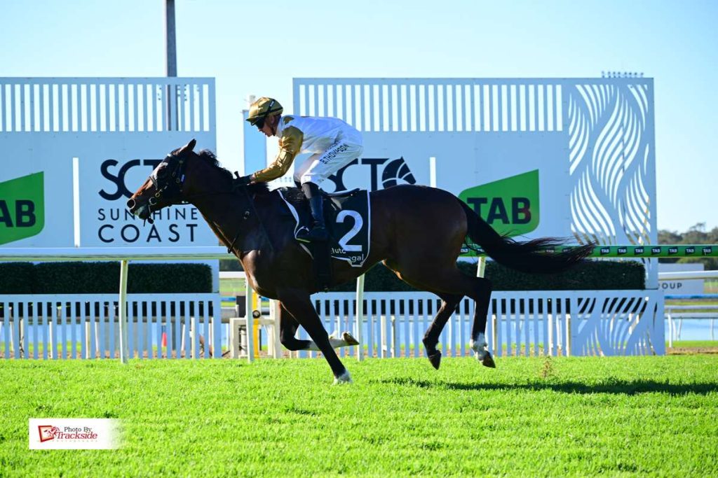 Hopper gets the hop on rivals in dominant victory