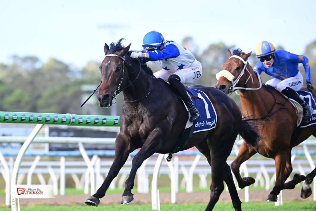 Moroccan Wind blows away rivals with inside run