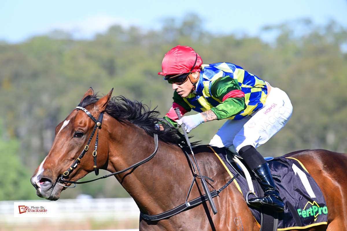 Old Faithful delivers dominant victory at Ipswich