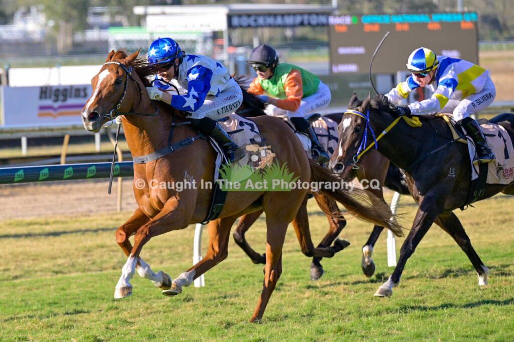 Miss Funny Honey part of winning Rocky treble