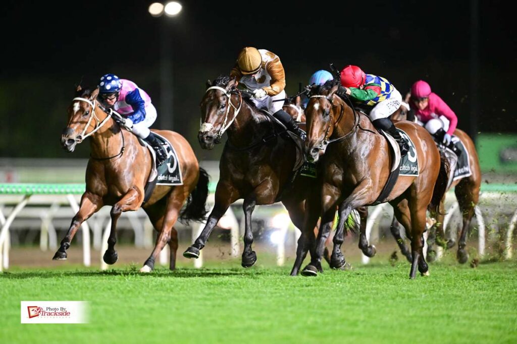 Bonded Affair bounces back under lights at the Sunshine Coast