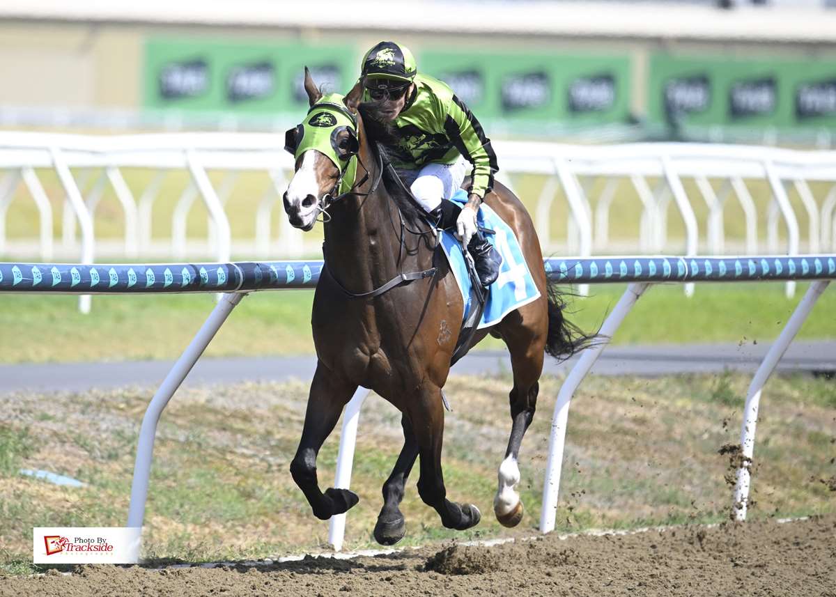 Stable lands Gold Coast double with front-running Dundeel pair