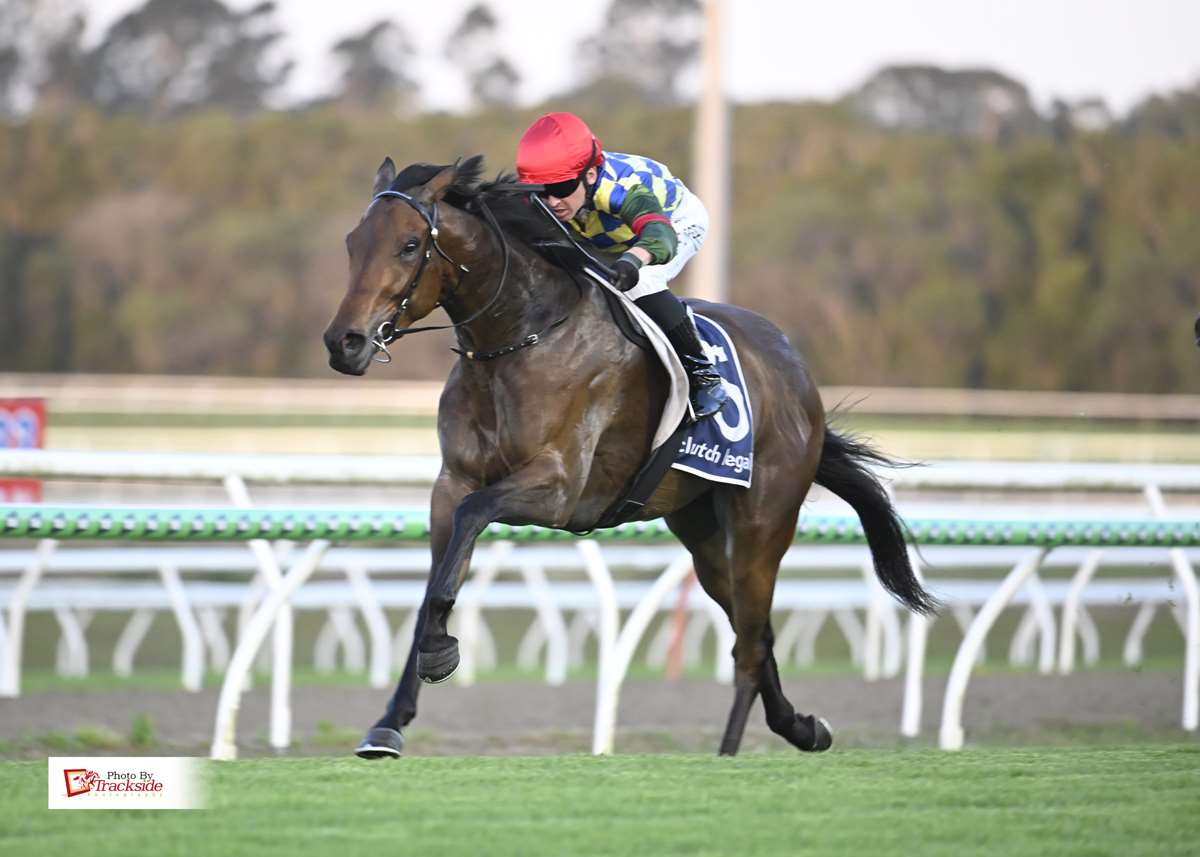 Terrax breaks through in style for Kendrick stable